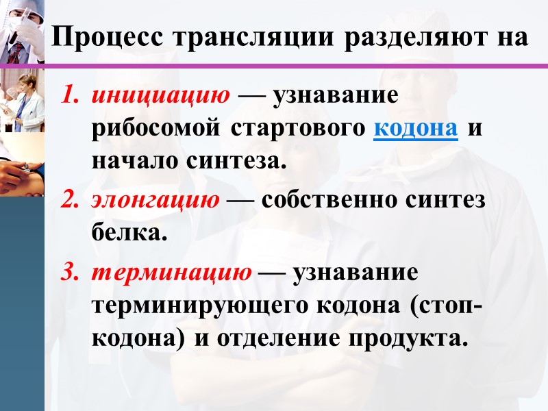 Процесс трансляции разделяют на инициацию — узнавание рибосомой стартового кодона и начало синтеза. элонгацию